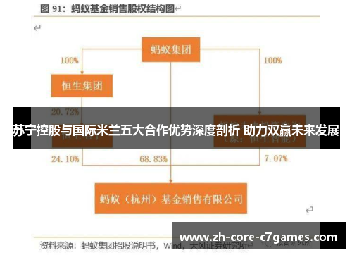 苏宁控股与国际米兰五大合作优势深度剖析 助力双赢未来发展 苏宁控股与国际米兰五大合作优势深度剖析 助力双赢未来发展